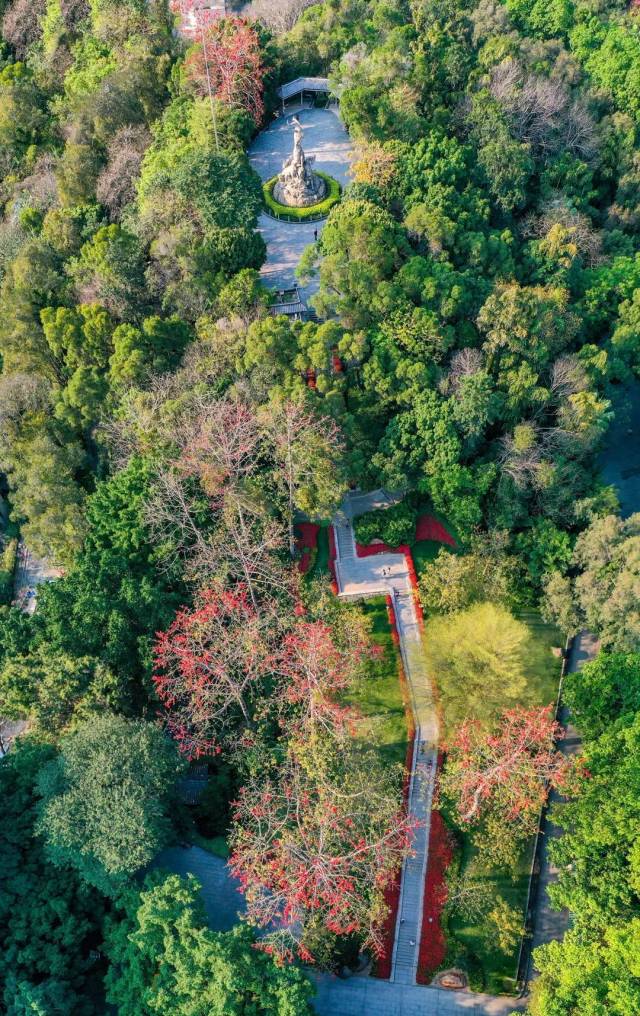 巧了，燃了！越秀山体育场迎来100岁生日，今晚“上山睇波”_巧了，燃了！越秀山体育场迎来100岁生日，今晚“上山睇波”_