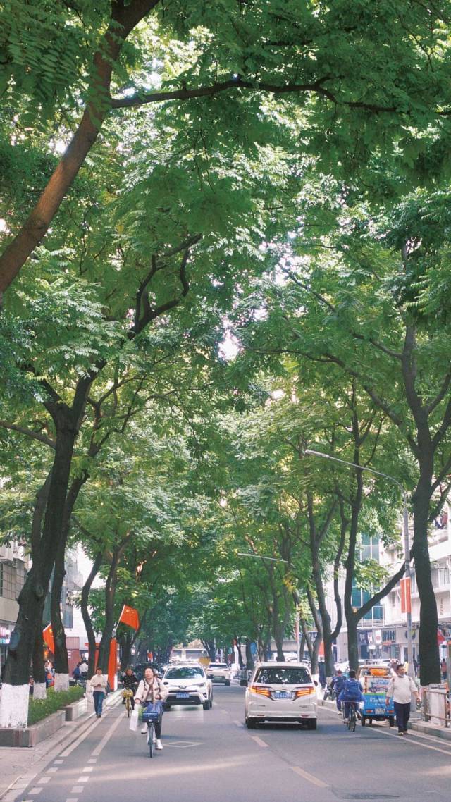 _巧了，燃了！越秀山体育场迎来100岁生日，今晚“上山睇波”_巧了，燃了！越秀山体育场迎来100岁生日，今晚“上山睇波”