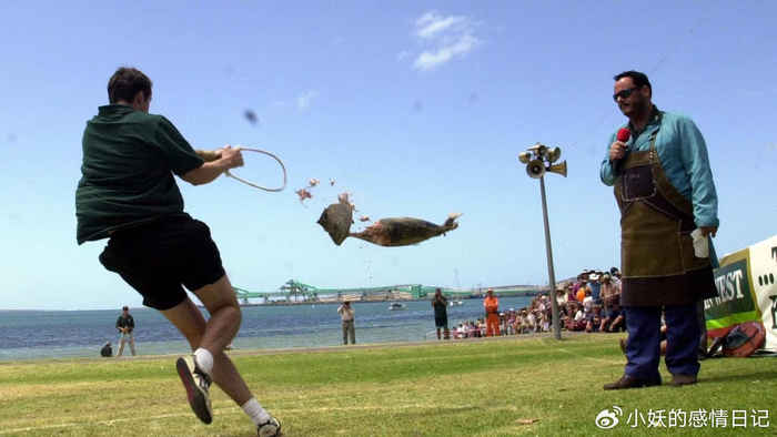 澳洲金枪鱼价格_澳大利亚蓝鳍金枪鱼多少钱一斤_