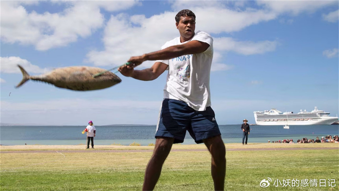 _澳大利亚蓝鳍金枪鱼多少钱一斤_澳大利亚金枪鱼折腾节