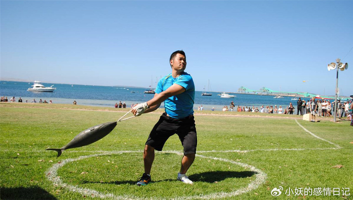 澳大利亚蓝鳍金枪鱼多少钱一斤_澳大利亚金枪鱼折腾节_