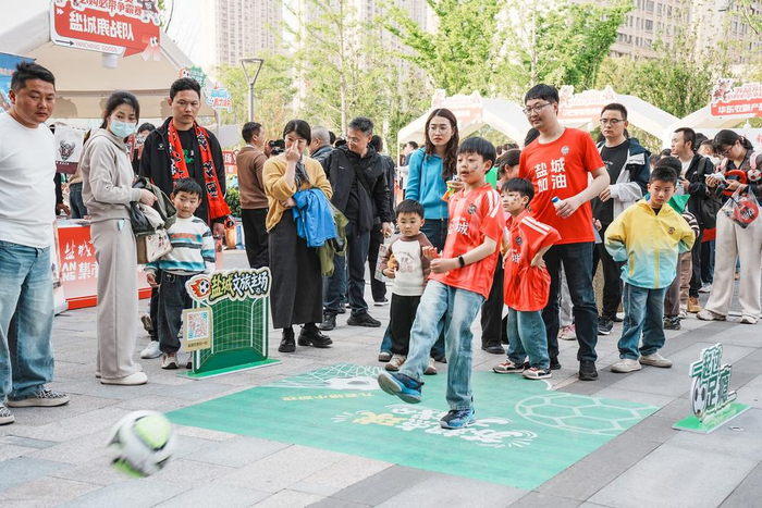 名展亚克力展示架__北京威廉杨鸽舍名鸽展