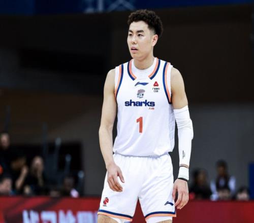 _cba蓝板王_wnba篮板王