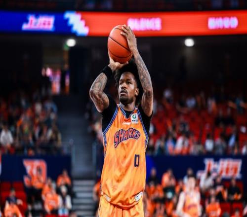 cba蓝板王__wnba篮板王