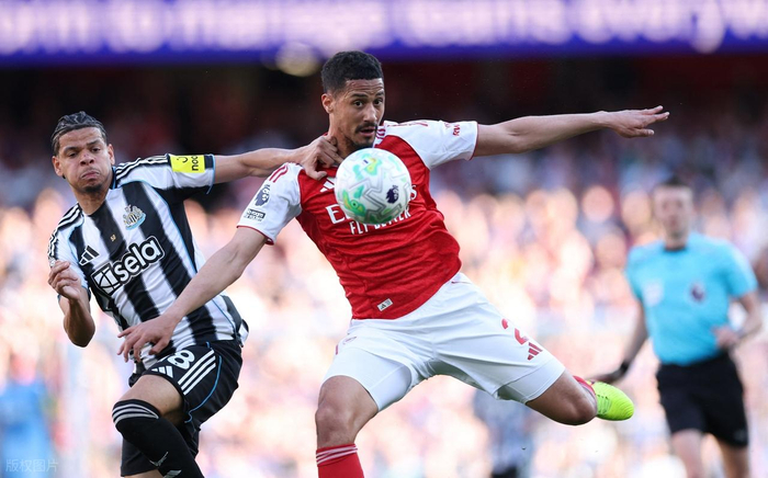 _阿森纳重返欧冠_阿森纳全胜夺冠