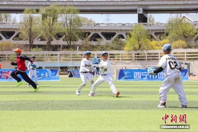 青海“棒”少年角逐赛场展风采_青海“棒”少年角逐赛场展风采_