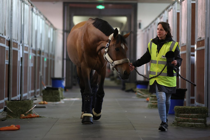 _赛事排位表(本地)环球赛马_上海环球马术冠军赛2021