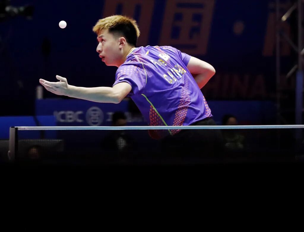 _糊涂塌客图片_糊涂塌客是什么鸟