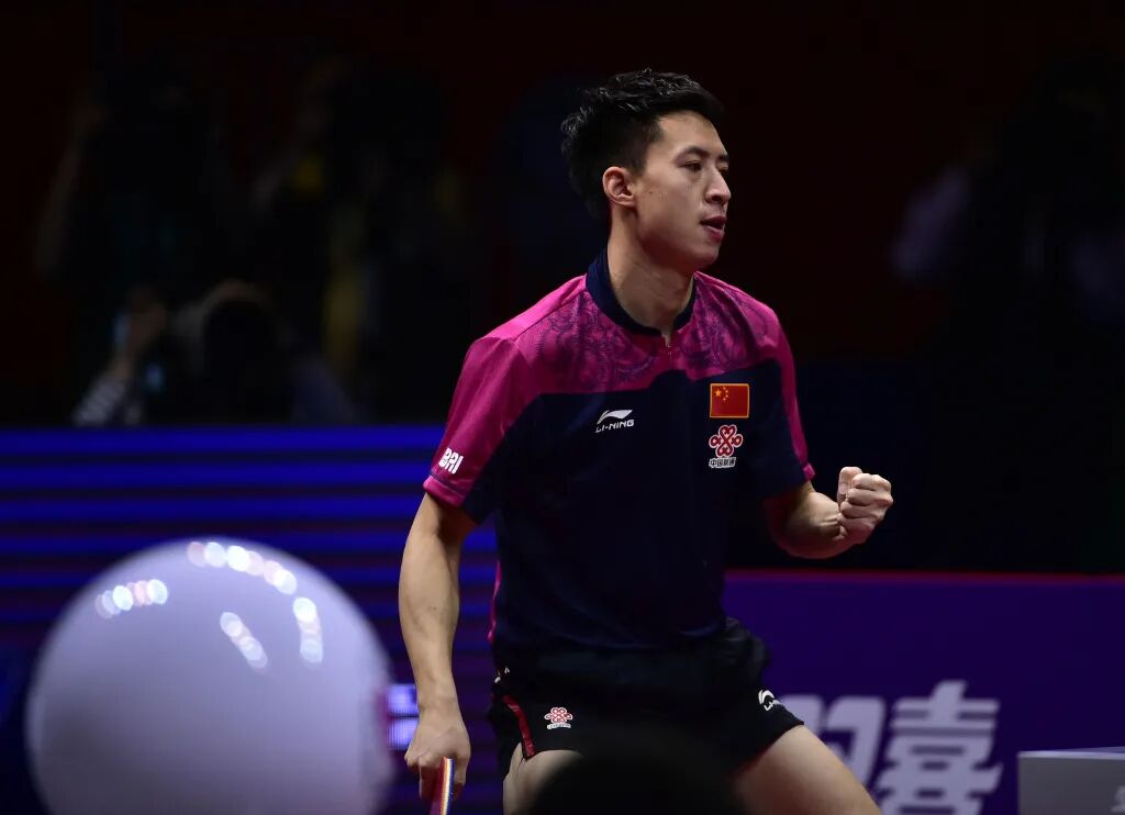 糊涂塌客是什么鸟_糊涂塌客图片_