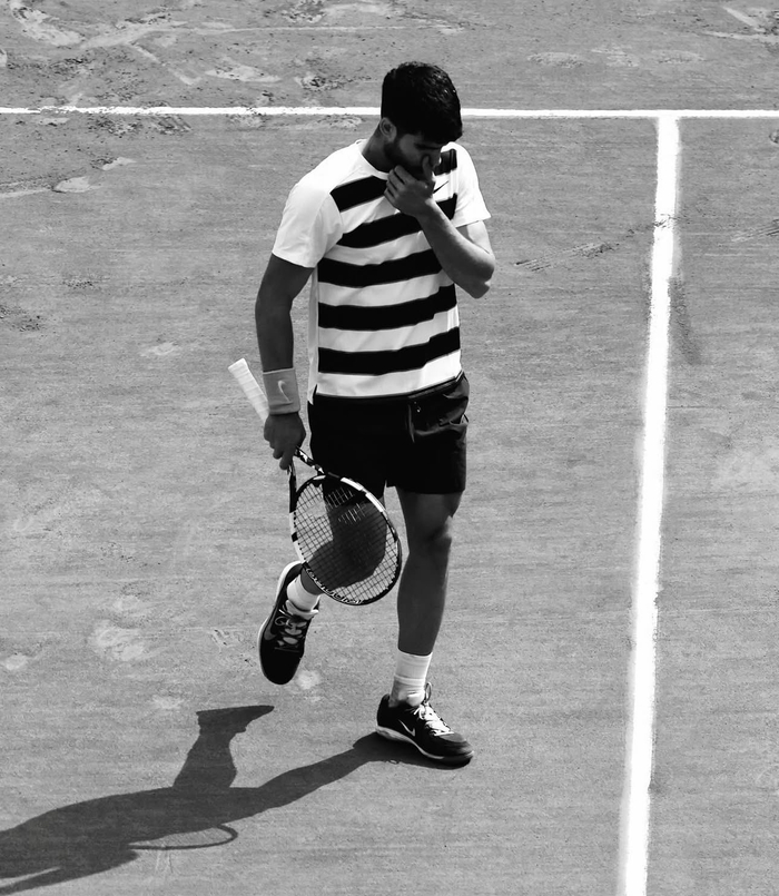 阿尔卡拉斯退出法网，德约科维奇迎来25冠最佳良机！_阿尔卡拉斯退出法网，德约科维奇迎来25冠最佳良机！_