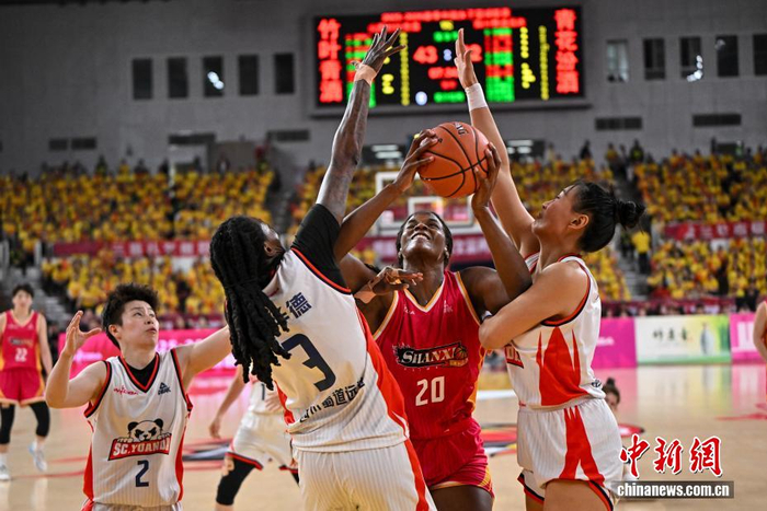 荷兰足球队夺得那一个杯冠军__山西竹叶青队